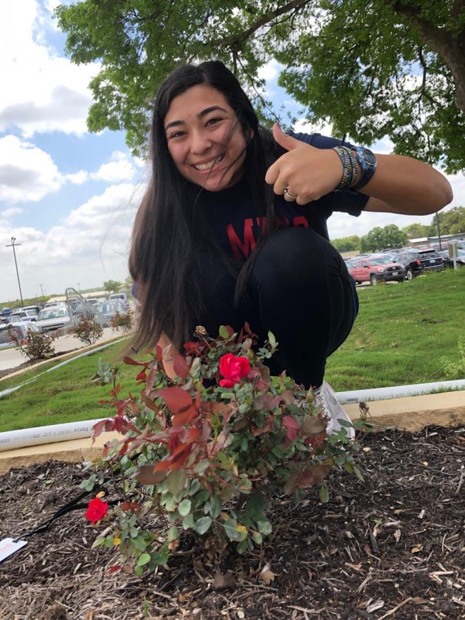 Katelyn Morgan, 12, spends time enjoying the warm sun and capturing pictures of newly blooming roses outside the new Music Hall. "It's spring time. Spring has sprung and I'm so excited to enjoy the nice weather to come," Morgan said.