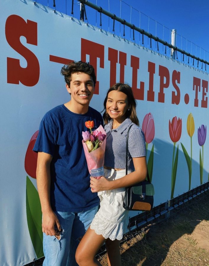 New flower farm near La Vernia