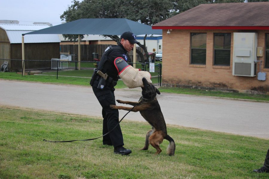 K-9 officer visits CTE Vet tech class