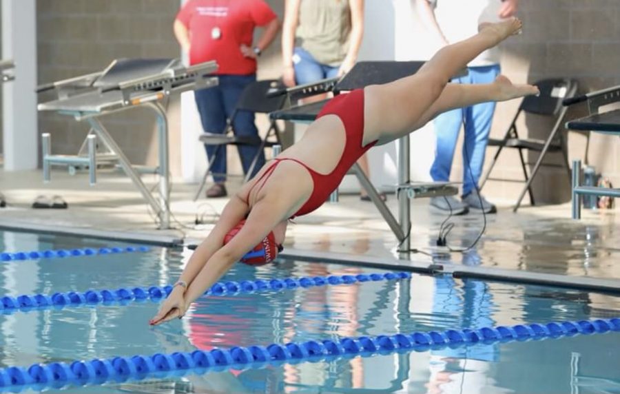 Audre Knepp, 11, dives in to start her 200 freestyle.