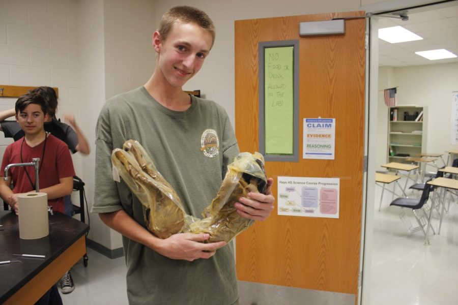 Austin Larrison, 11, preps for the Science Club cat dissection. The dissection helped members learn about basic anatomy and systems. 