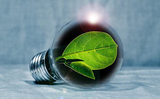 Leaf Club message about energy awareness has classrooms flipping the switch. credit: Pixabay