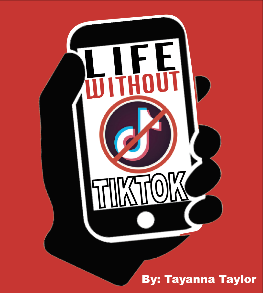 With the threat of closing down TikTok here in the U.S.- what are the alternatives? 