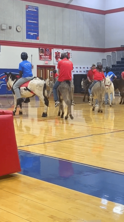 Donkey basketball raises money for Project Graduation.